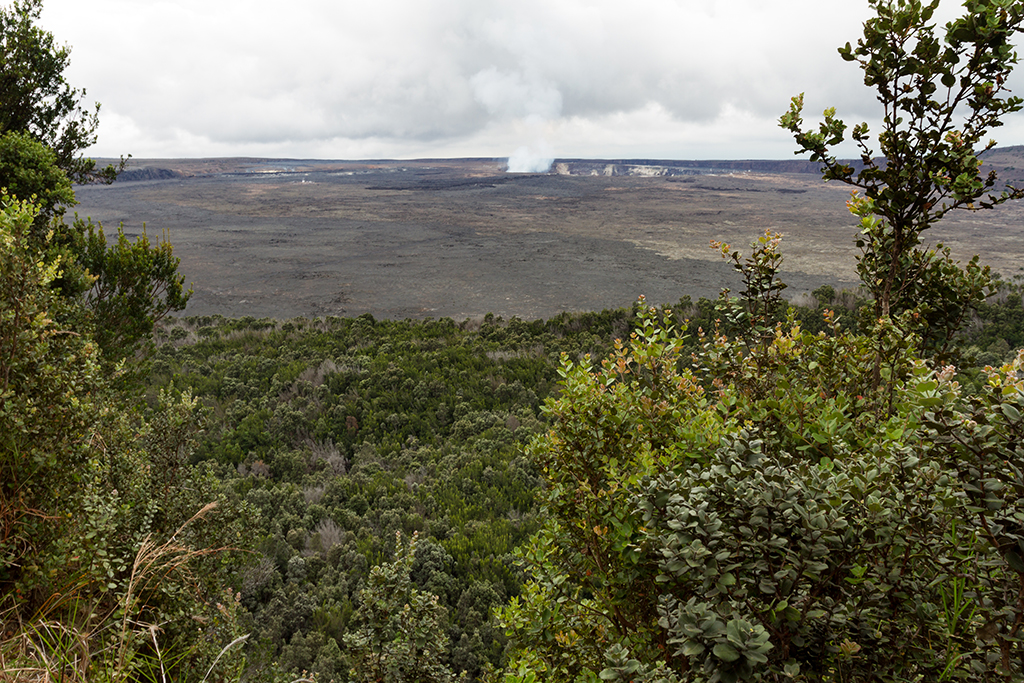 Hawaii - 025.jpg